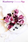 Blueberry Coconut Pops