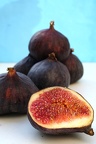Figs 2009