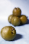 Greengage - Still - Playing with PS