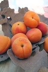 Apricots & maple bark