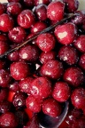 Cherries in Vanilla Port Syrup