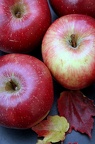 Fall in Red: Apples & Leaves