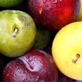 Plums & Colors