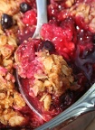 Currants & Red Plums Crisp