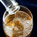 Mexican Beer