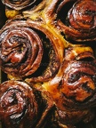 Pumpkin Chocolate Rolls